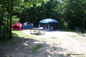 Camping in Brent campground – Algonquin