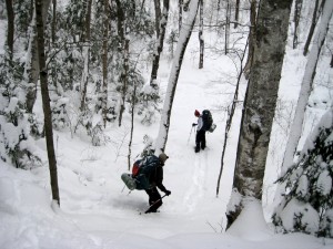 Snowshoeing Algonquin’s Highlands Backpacking Trail
