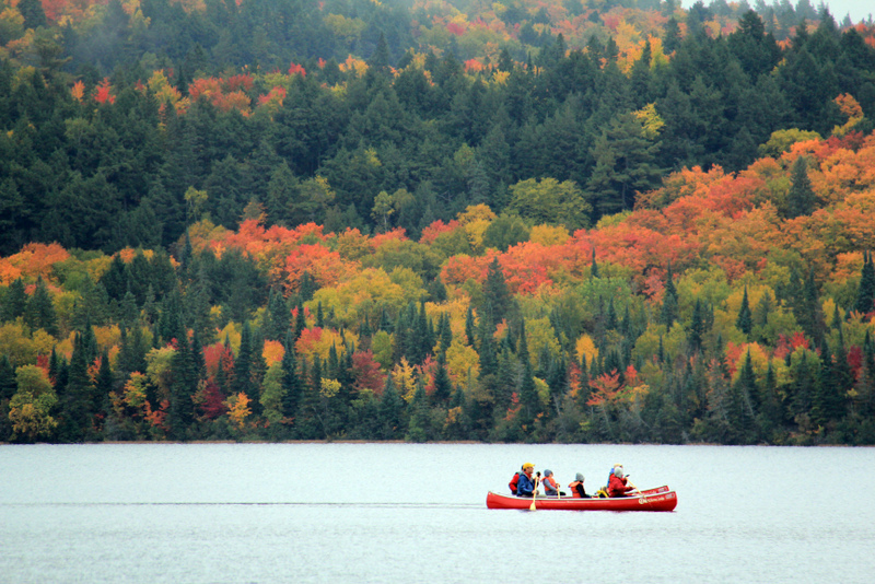 Best day trails of Algonquin to enjoy Fall colours