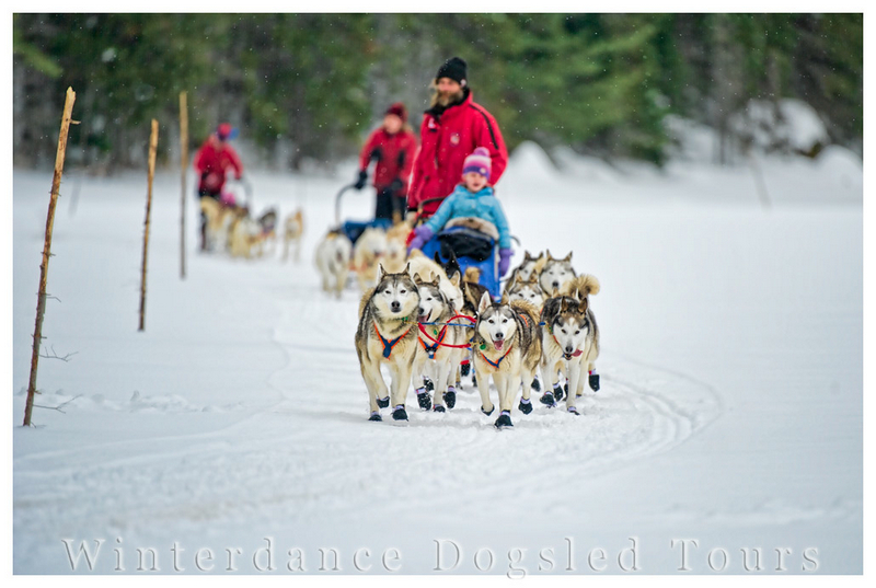 Winter dance dogsled tours at Haliburton Highlands, Ontario