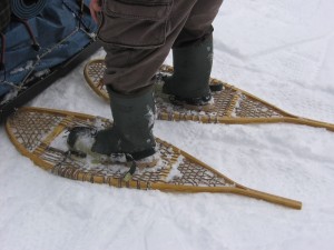Getting started with Snowshoeing