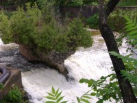 Tooth of Time, Elora Gorge Conservation Area