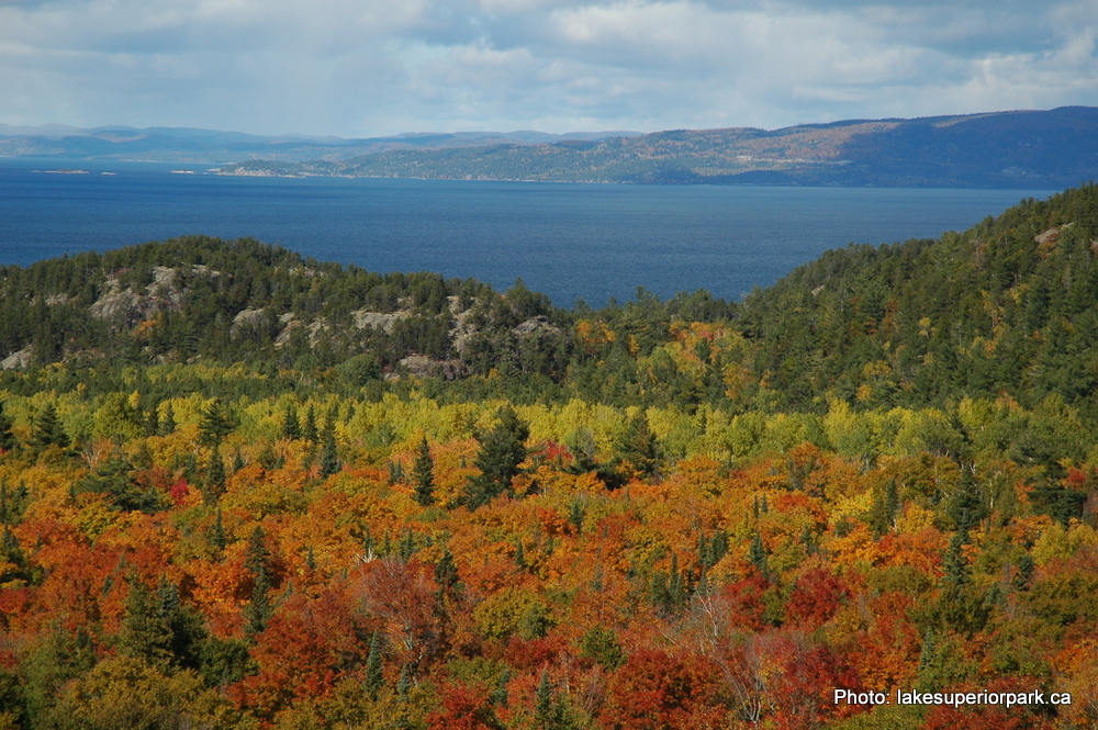 Autumn Fall Foliage Lake Superior Provincial Park