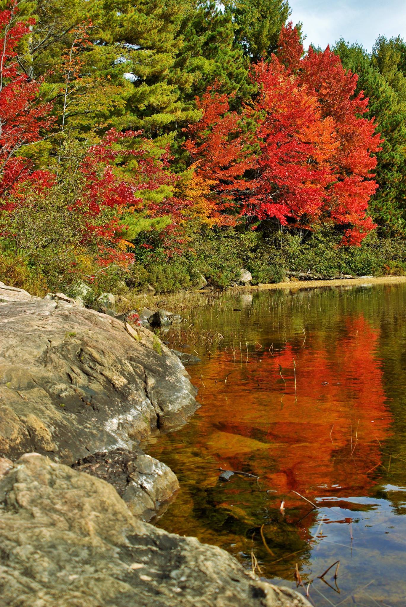 Algonquin Fall Colours Inspiration (in pictures)