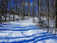 Hilton Falls Conservation Area - Winter Hike
