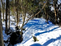 Hilton Falls - winter hike