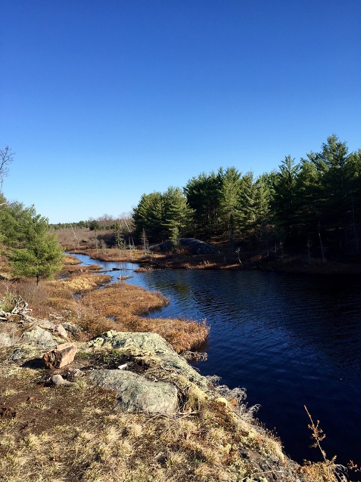 Torrance Barrens Dark Sky Preserve