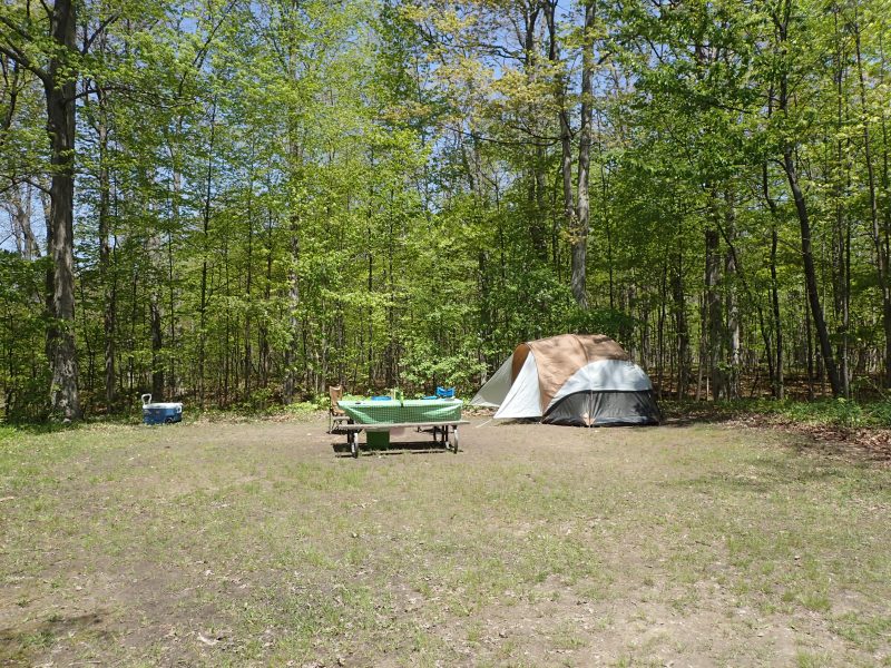 Boosey Creek Campground_Wheatley Provincial Park