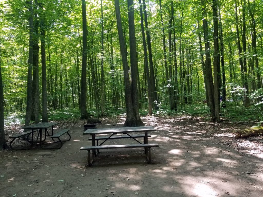 Bear Campground, Awenda