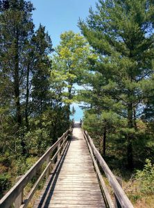 Burley Campground, Pinery