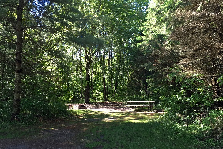 Bayside Campground, Charleston Lake