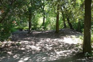 Cedars Campground, Sandbanks