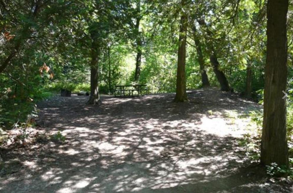 Cedars Campground, Sandbanks