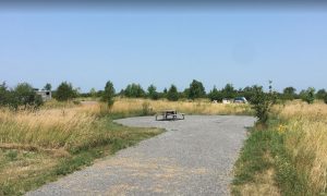 West Lake Campground, Sandbanks