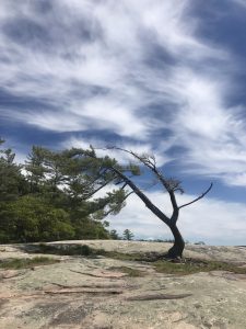 Beaver Dams Campground, Killbear