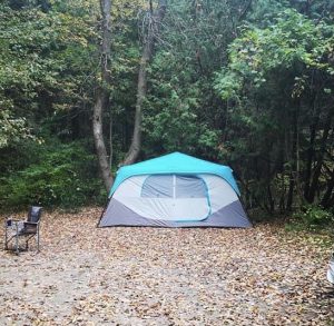 Cedargrove Campground, Sibbald Point Provincial Park