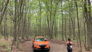 Turtle Campground, Awenda